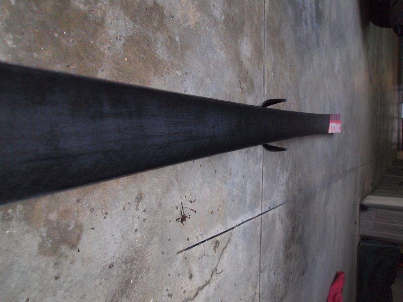 111405-pa275972.jpg