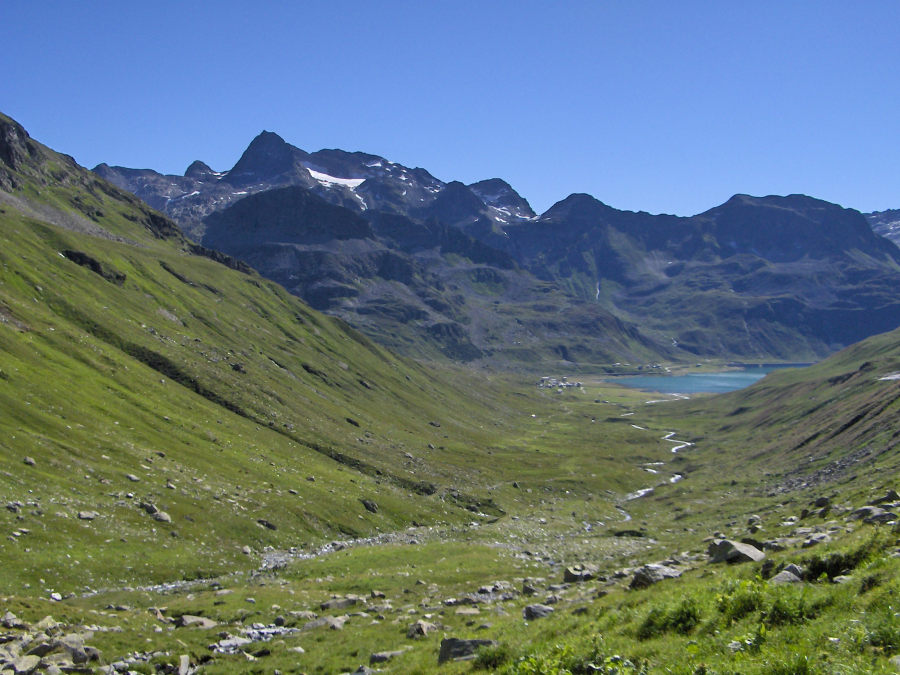 11143-ferre01.jpg