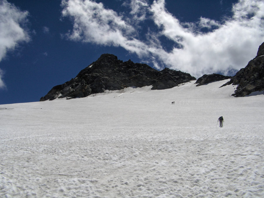 11148-ferre08.jpg