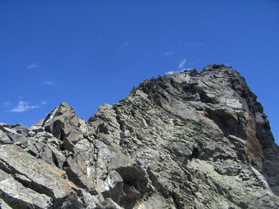 11151-ferre11.jpg