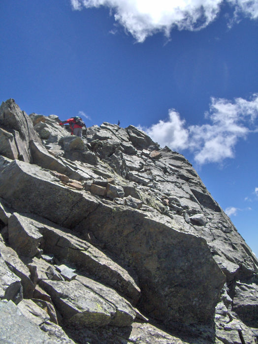 11152-ferre12.jpg