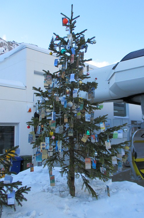 113480-albero-degli-skipass.jpg