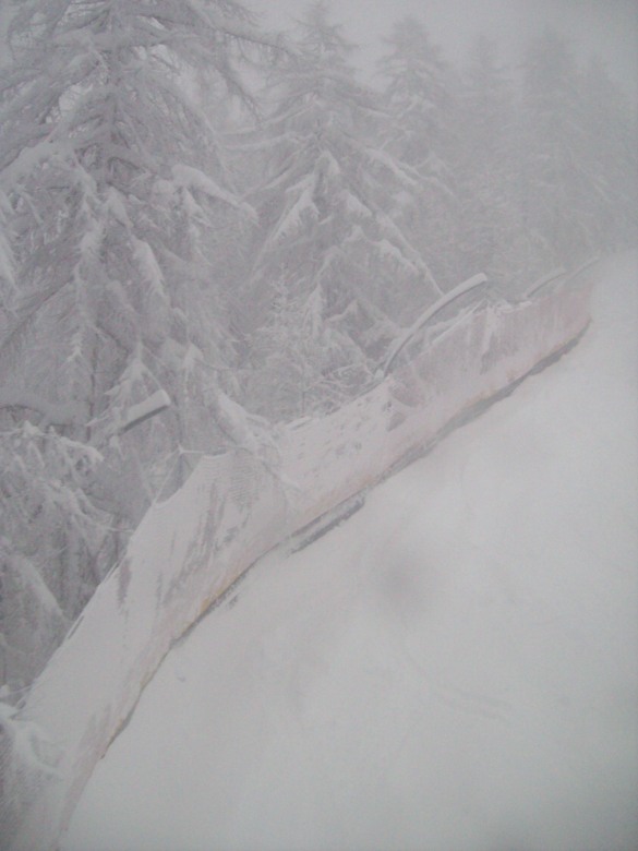113560-1002394.jpg