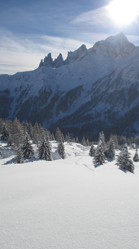 115183-neveeeeeeee.jpg