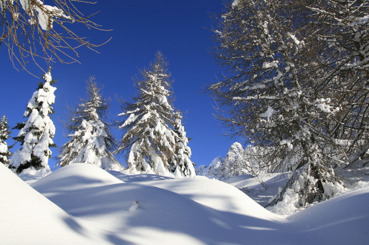 115504-alta-val-di-scalve-27-dic-2013-46.jpg