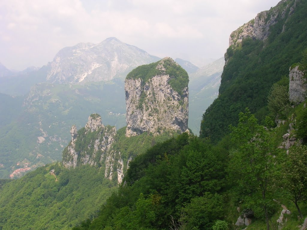 115663-32768491.jpg