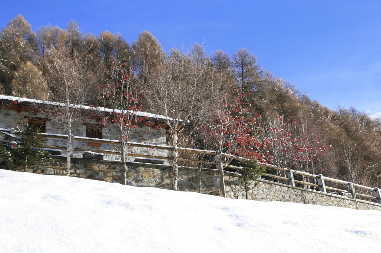 115666-val-grande-06-01-2014-20.jpg