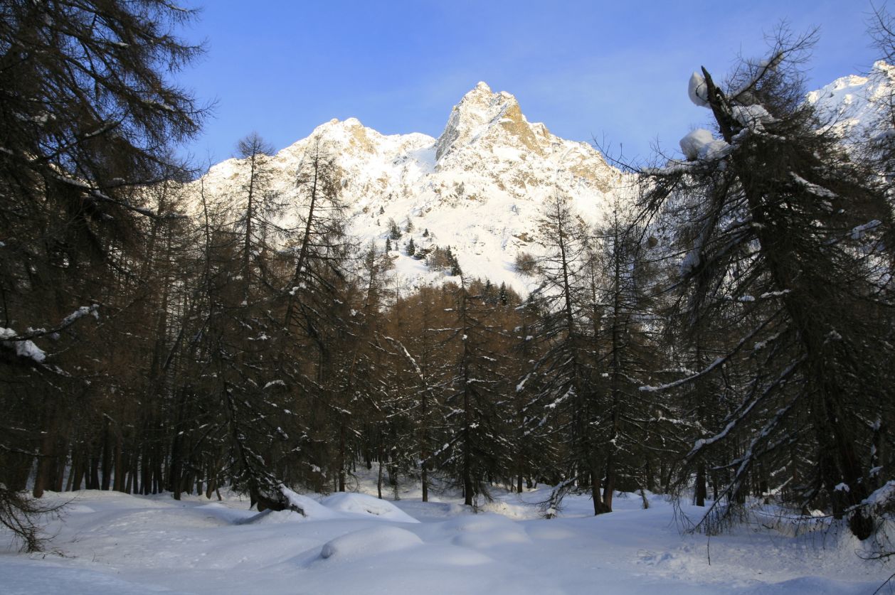 115691-val-grande-06-01-2014-165.jpg