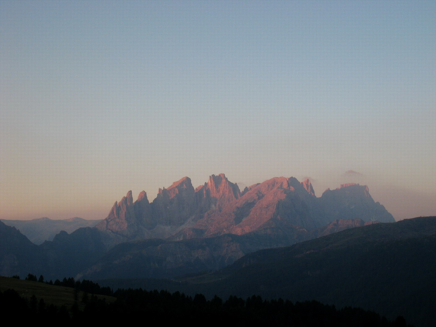 11641-albapale.jpg