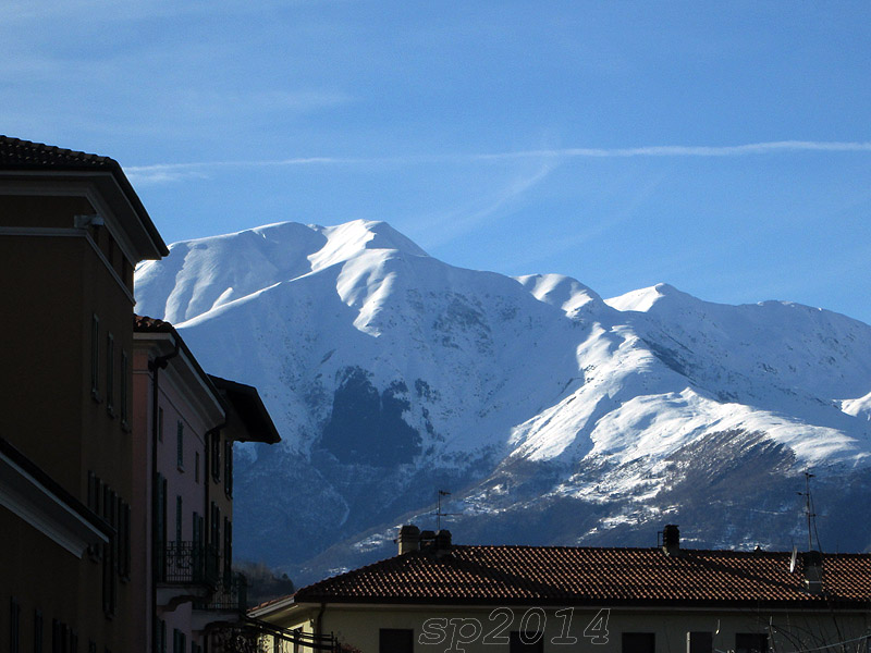 116539-wlf.jpg