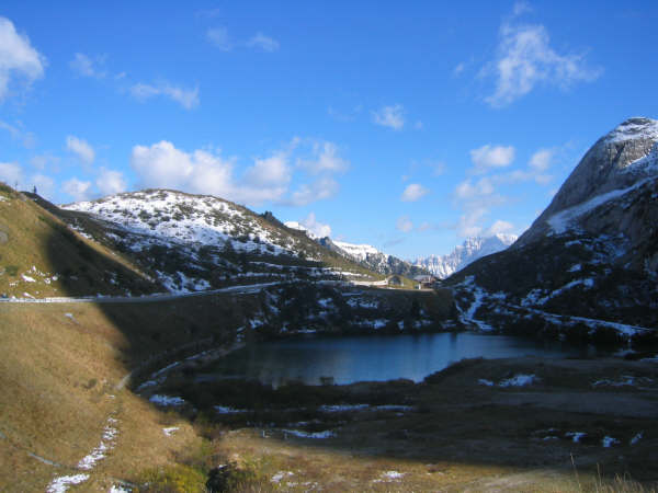 11756-1252556.jpg