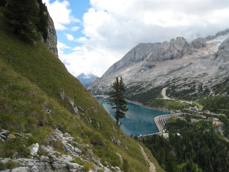 11799-foto-estate-2007-107-medium.jpg