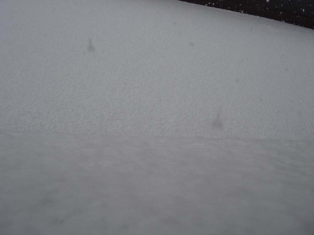 11943-dsc02418.jpg
