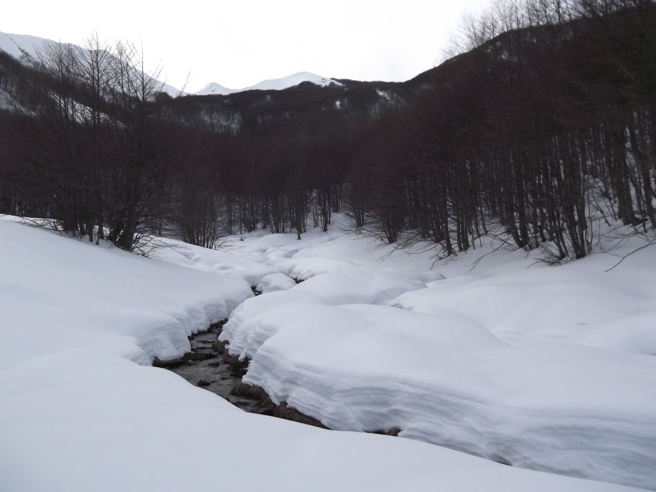119828-pietratagliata-e-monte-alto-14-feb-2014-146.jpg