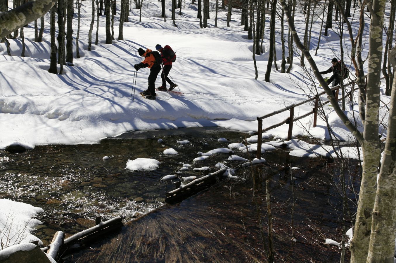 120384-laghi-sillara-vairo-22-feb-2014-11.jpg