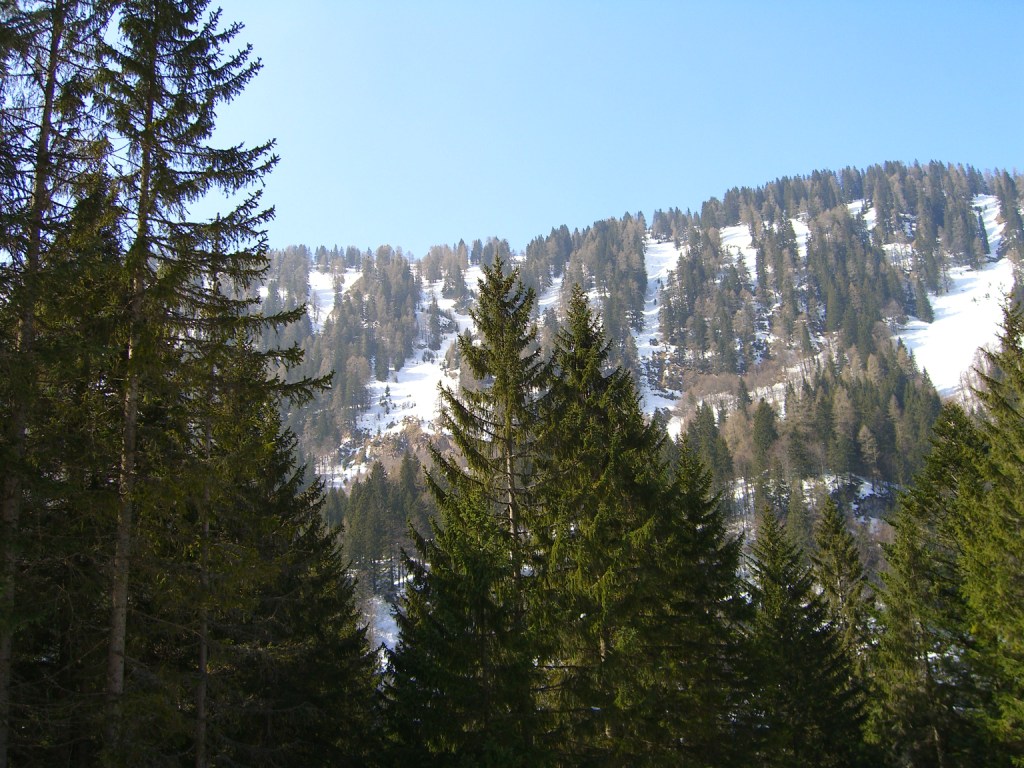 12126-cimg0135.jpg