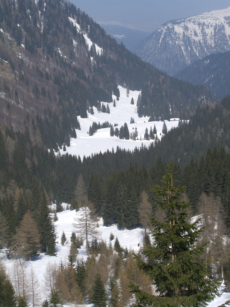 12132-cimg0123.jpg