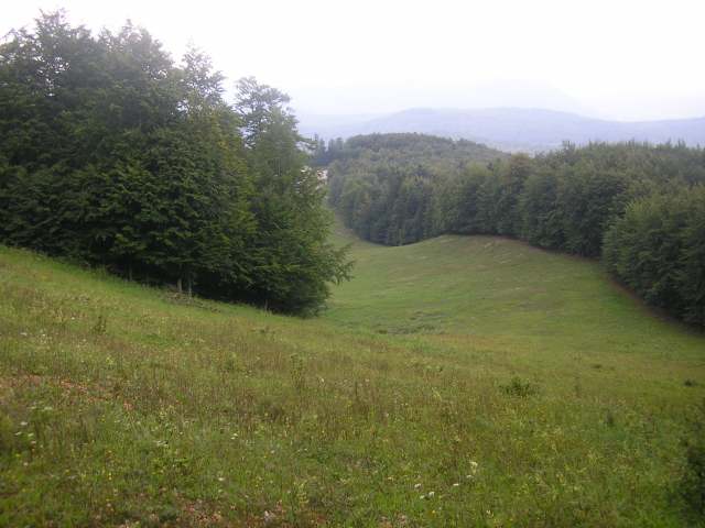 12141-p8250026.jpg