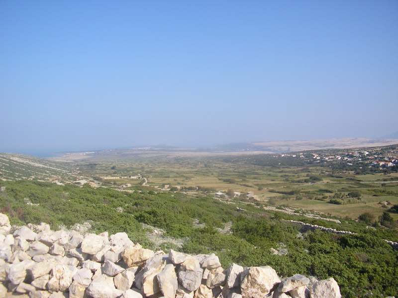 12152-p8150019.jpg