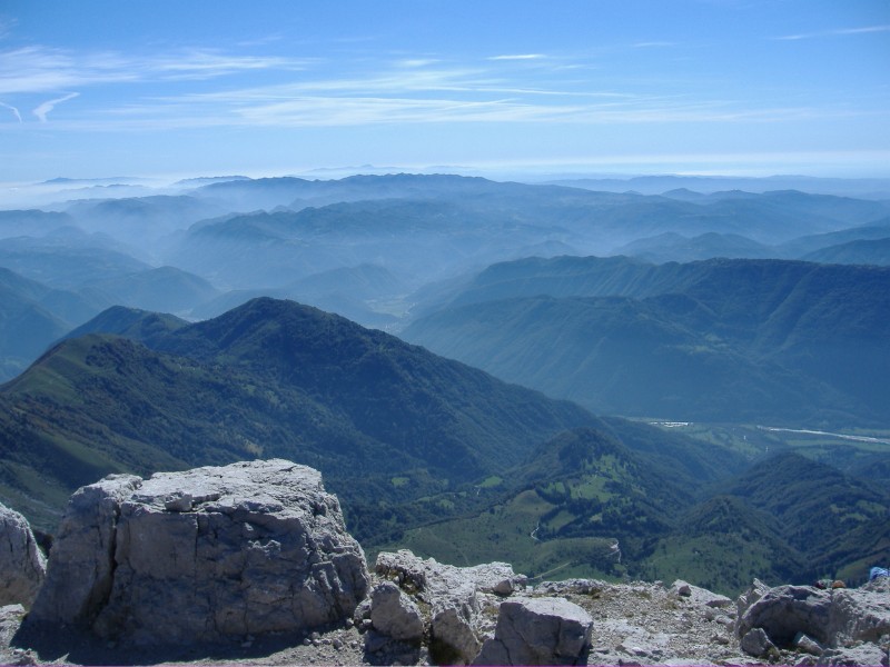12342-catrso.jpg