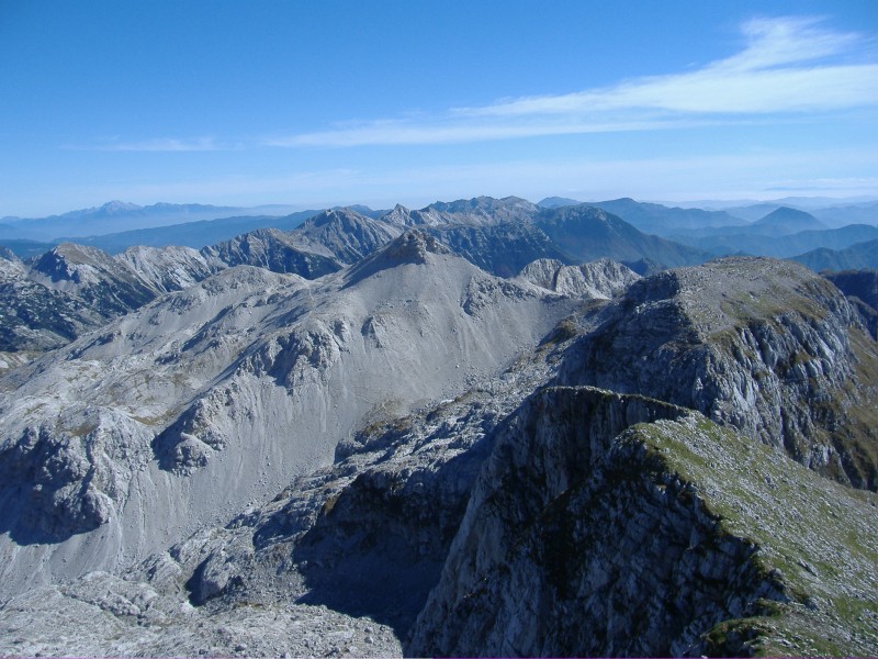 12343-tutto.jpg