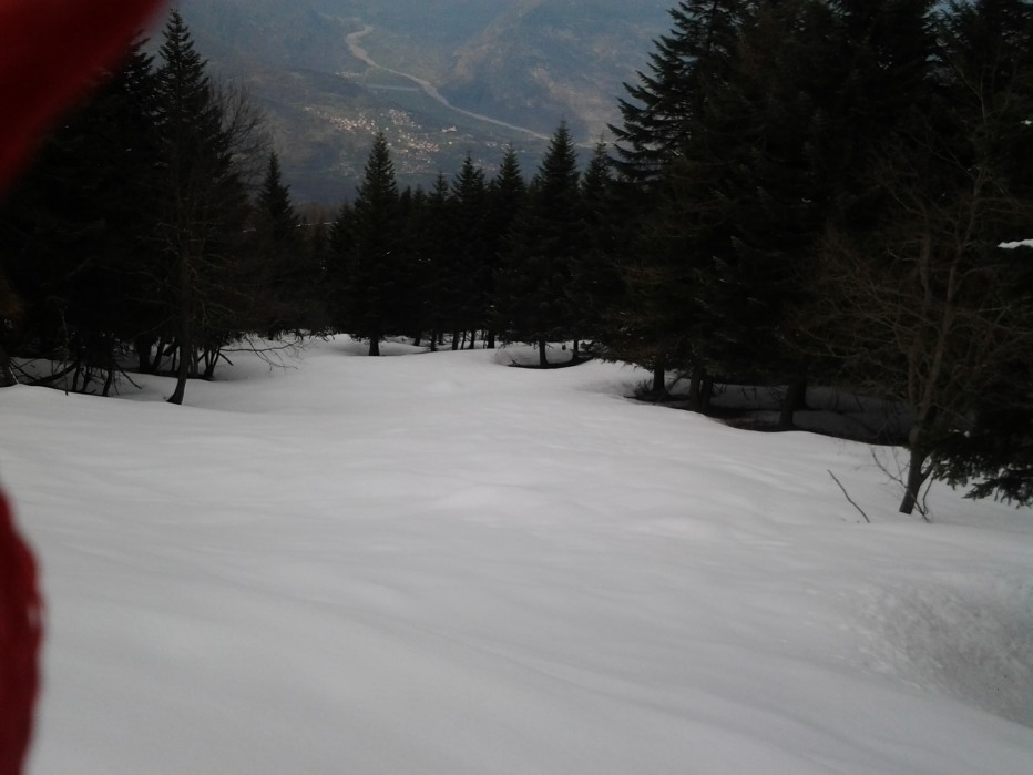 123883-2014-03-29-14.54.1.jpg
