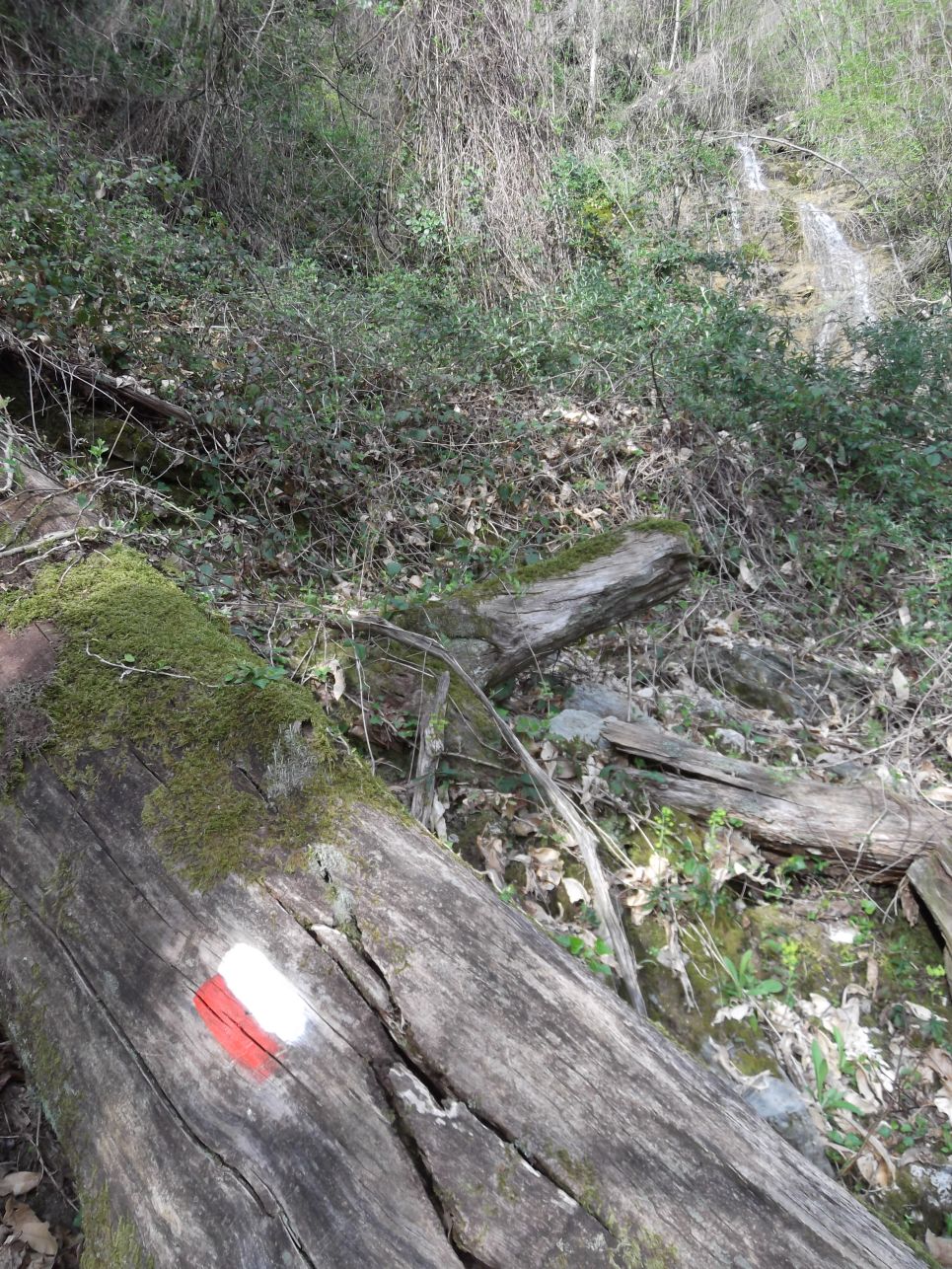 124049-pruno-pania-forato-6-aprile-2014-155.jpg