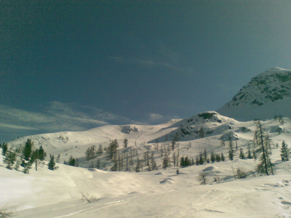124108-22032009.jpg