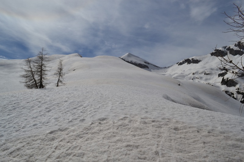 124467-alpago-verso-cornor-castellat.jpg