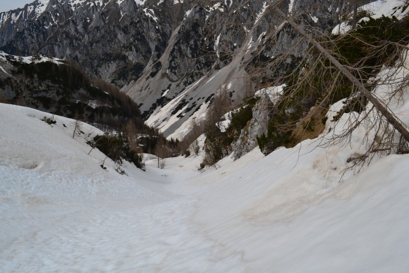 124483-dsc0084.jpg