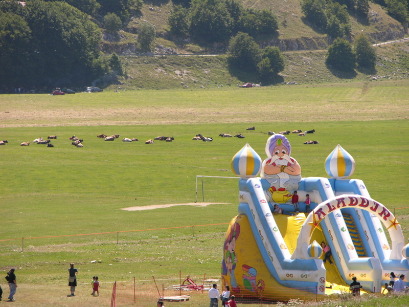 1251-dscn7939.jpg