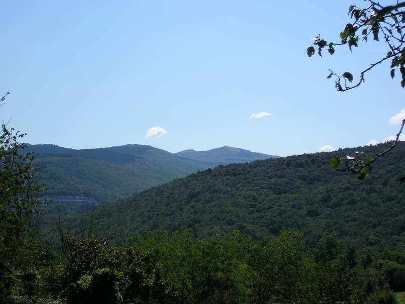 12533-p9020008.jpg