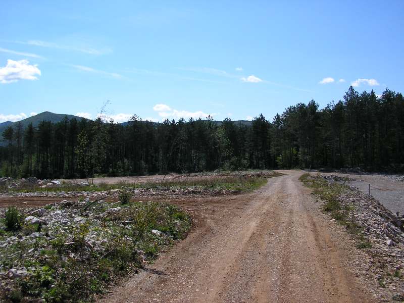12536-p9020013.jpg