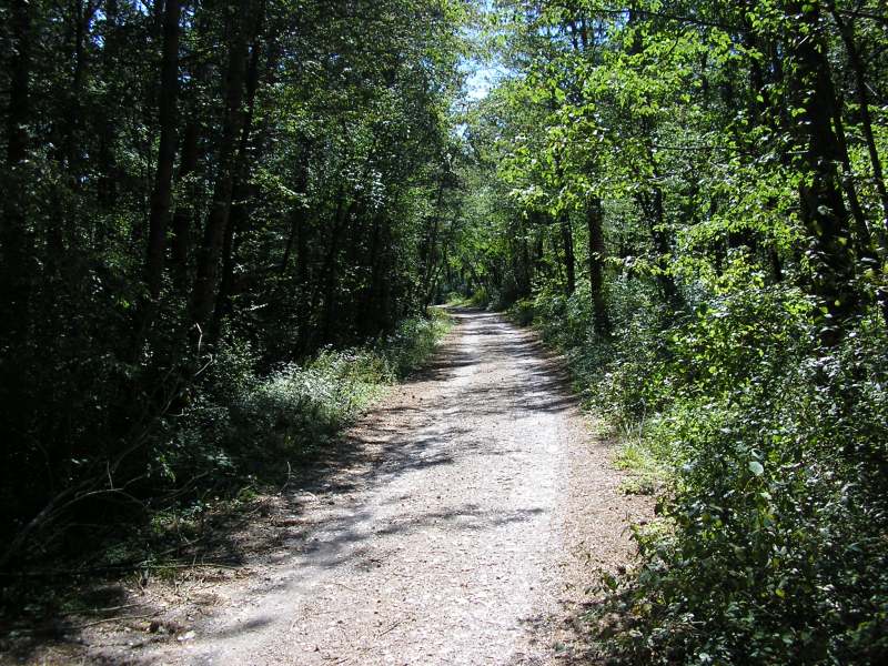 12537-p9020014.jpg