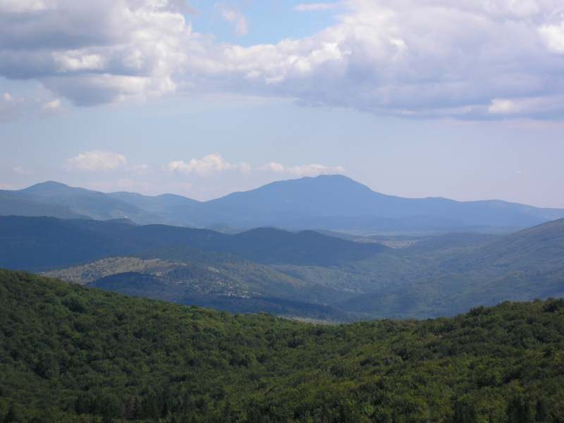 12551-p9020038.jpg