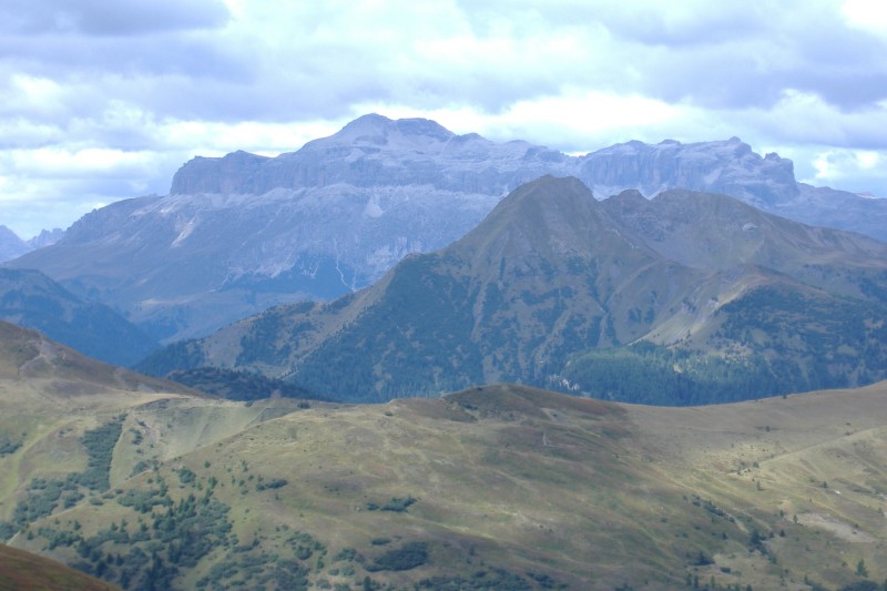 12592-sella.jpg