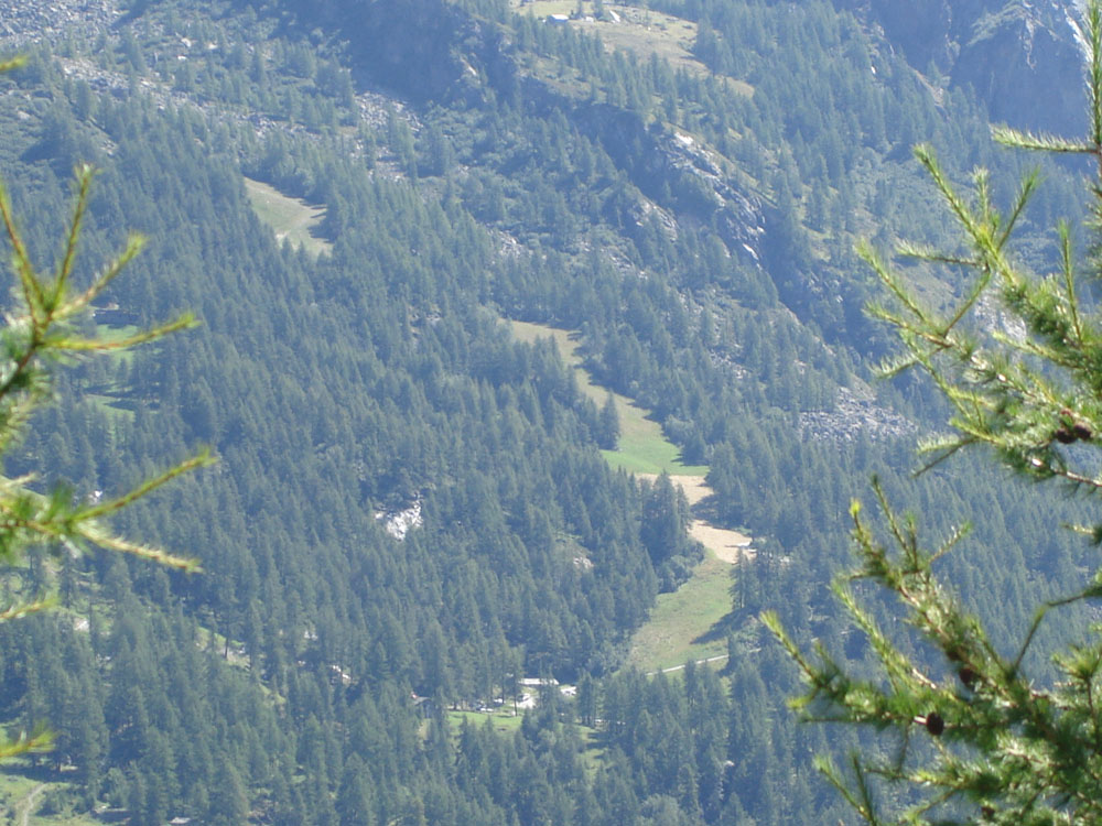 12604-dsc02549.jpg