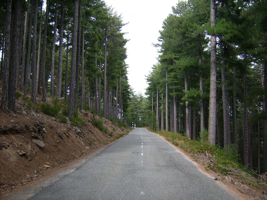 126408-dsci0164.jpg