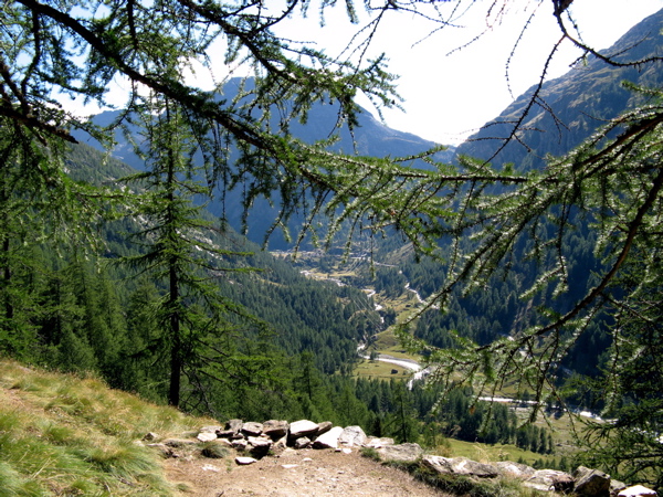 12650-il-paesaggio.jpg