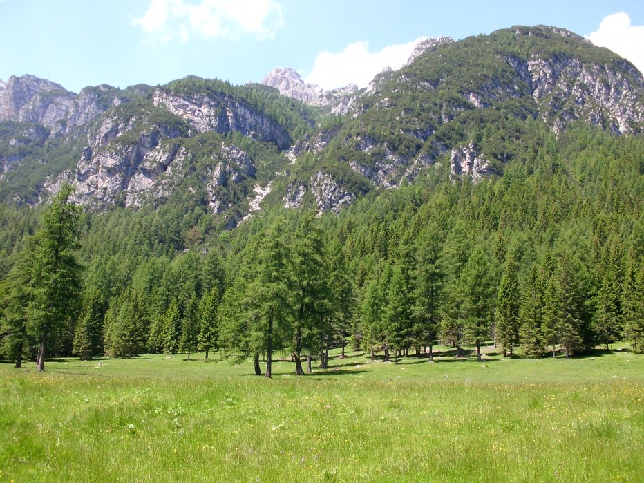 126710-cimg1049.jpg