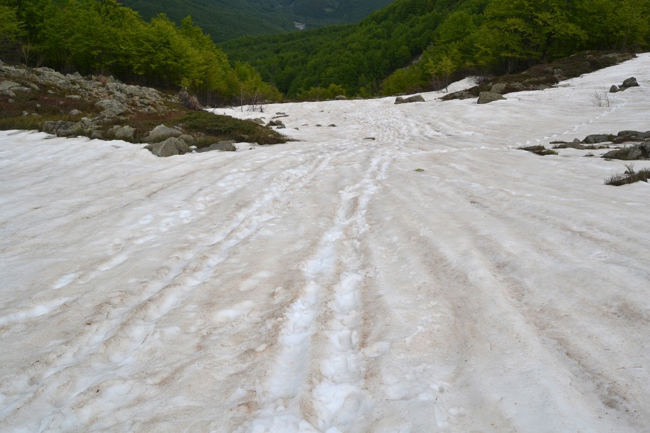 126804-monte-giovo-2-giugno-135-copia.jpg