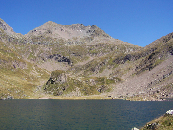 12699-1004759.jpg