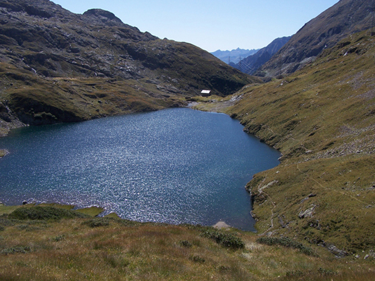 12701-1004795.jpg