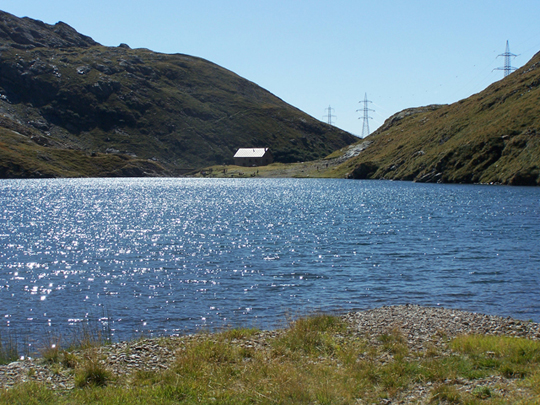 12706-1004808.jpg