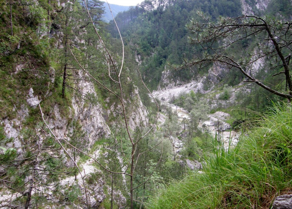 127075-p6200410.jpg