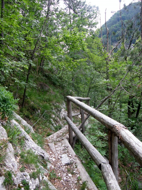127079-p6200420.jpg