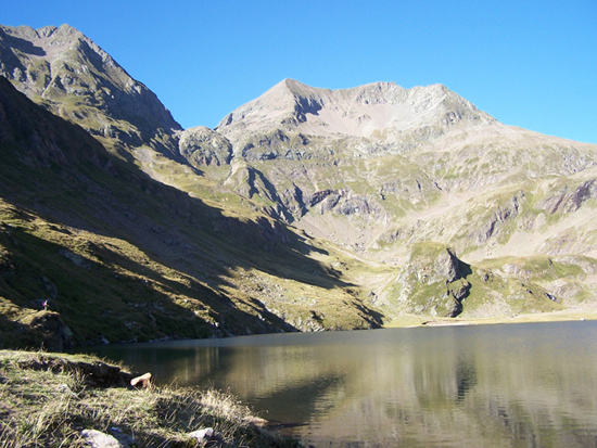 12708-1004821.jpg