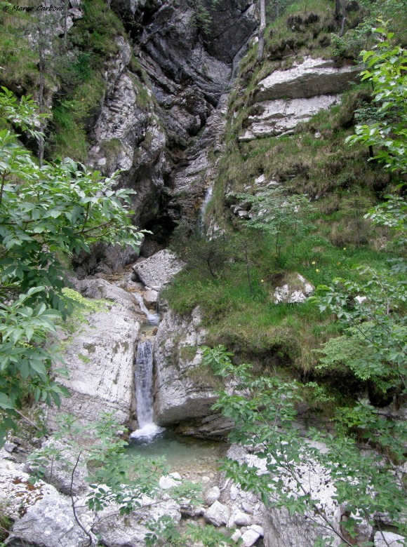 127083-p6200428.jpg