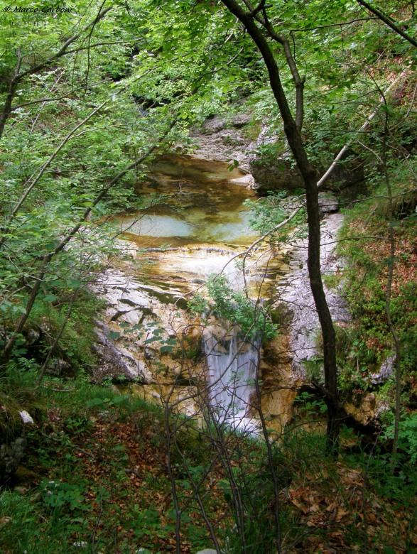 127084-p6200431.jpg