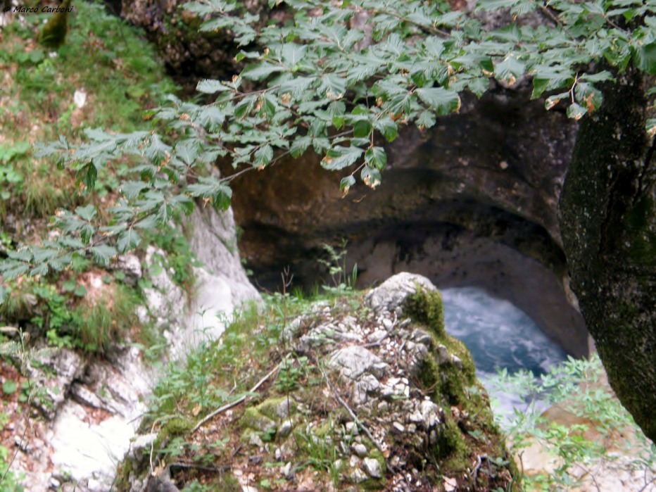 127086-p6200433.jpg